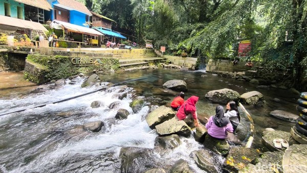 kfcfeedbackctl, kfcfeedbackctl kehidupan, kfcfeedbackctl wisata, kfcfeedbackctl games, kfcfeedbackctl teknologi